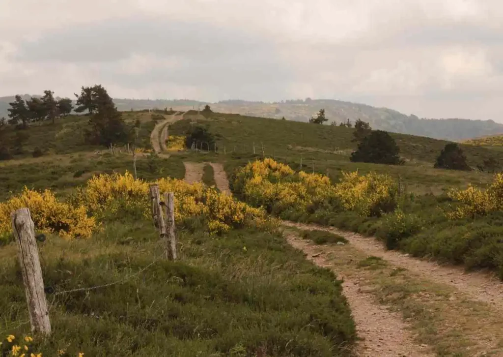 chemin campagne montagne chemin campagne montagne